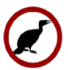 PONTILE CORMORANO