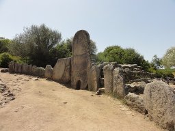 CODDU ECCHJIU