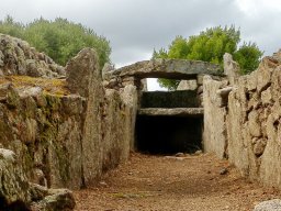 LI LOLGHI