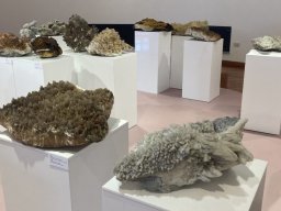 MUSEO CIVICO