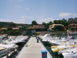 PONTILECORMORANO